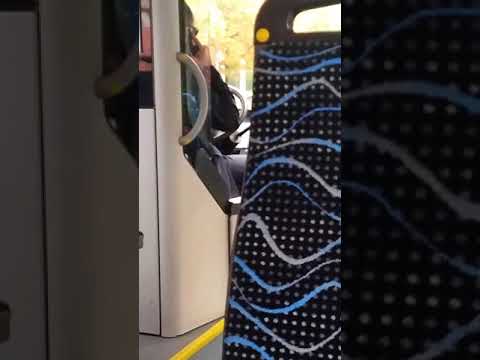 Buszsofőr telefonál, nem zavartatja magát !