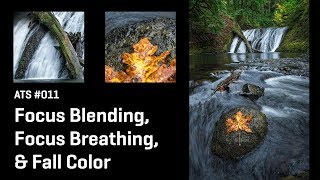 Approaching The Scene 011: Focus Blending, Focus Breathing, &amp; Fall Color