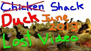 Lost Video: Chicken Shack Soon To Be The Duck's Shack