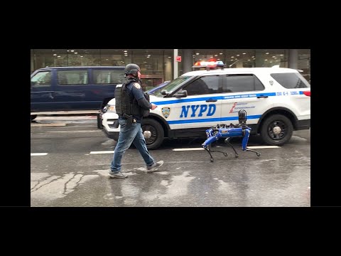 NYPD robotic dog prompts New York Rep. Torres to draft legislation