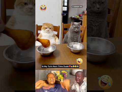 Time For Pranks During Breakfast #trending #funny #shorts #comedy #subscribe #foryou
