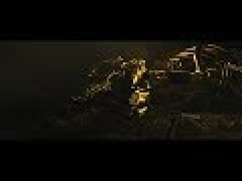 FIIXD - HIT THE ROAD (OFFICIAL VISUALIZER)