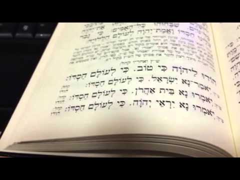 Chazan Nathan Gluck - Hodu 1/4