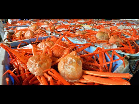 Awesome Snow Crab Fishing On The Sea, Big Catch King Crab Trap Under Deep Sea | MTK