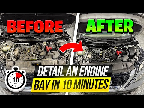 How to SAFELY Clean Your Engine Bay! Step by Step Tutorial