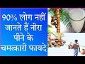 नीरा पीने के चमत्कारी फायदे Benefits Of Drinking Nira