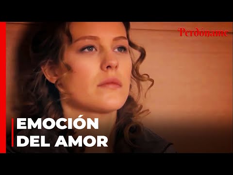 El Desafiante Camino Del Amor - Perdóname