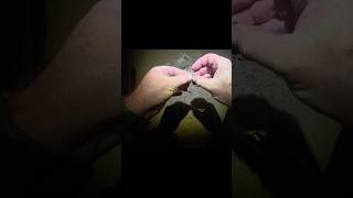Minelab Manticore : son premier bijou : or ou argent ? Boucle d’oreille ou piercing ? #shorts