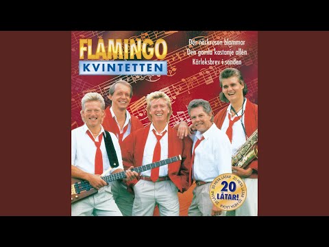 Lycka till med nästa kille (Sandy)