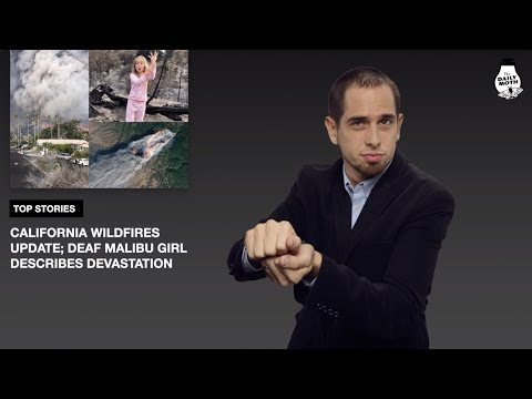 The Daily Moth 11–26–2018