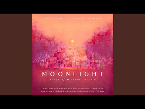 Moonlight (feat. Joey Newcomb)