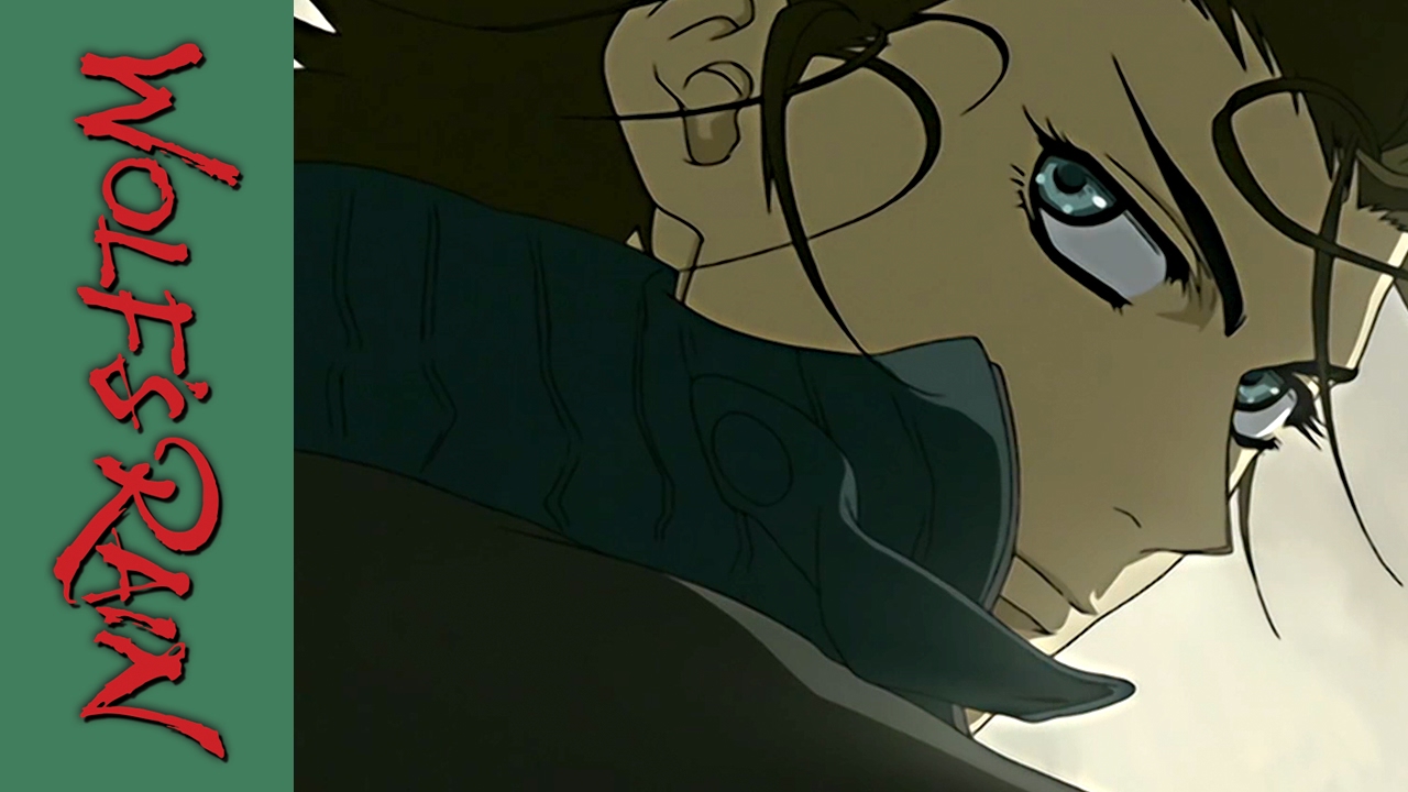 Opening | Stray - Steve Conte