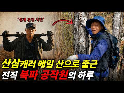 산삼 한 뿌리 1억, 전직 북파공작원이 10년째 산으로 출근하는 이유