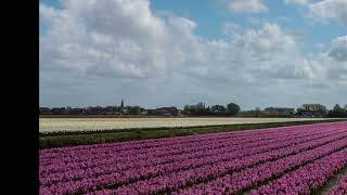 Salvatore Adamo - Wie mach ich dir das klar?