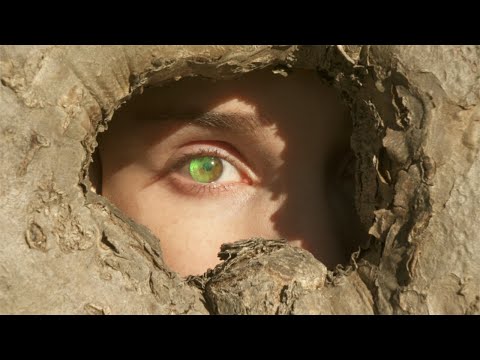 Video thumbnail for Evergreen