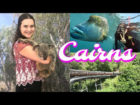 download lagu mp3 mp4 Cairns Discount Tours, download lagu Cairns Discount Tours gratis, unduh video klip Cairns Discount Tours