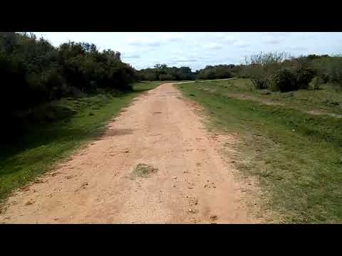 Paso Pereira Río Negro