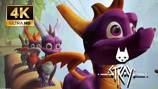 Stray Spyro The Dragon MOD Gameplay PC 4K