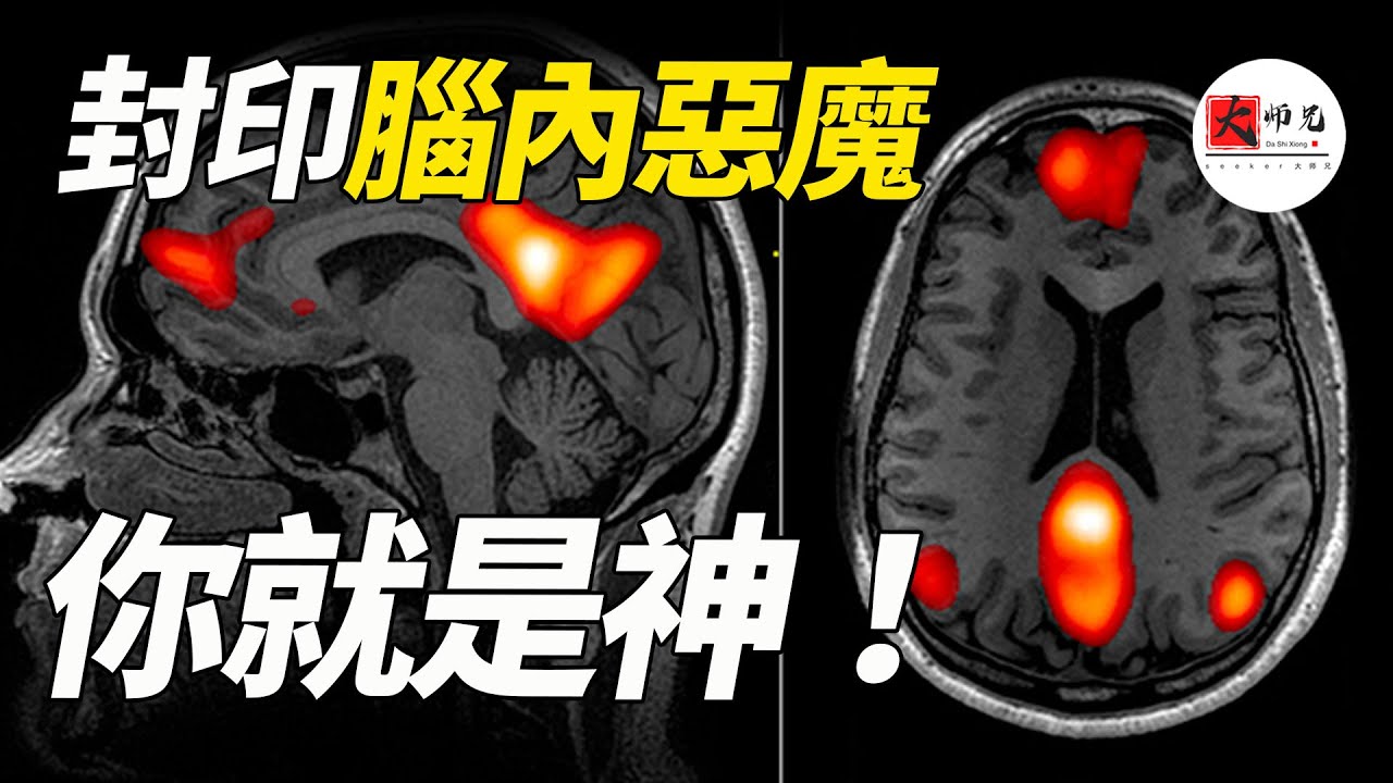 大腦裏藏着一個“偷電狂魔”？ 佛家、道家和科學家都在研究的祕密：如何破解大腦的“默認模式”？幫你奪回90%創造力！|seeker大师兄
