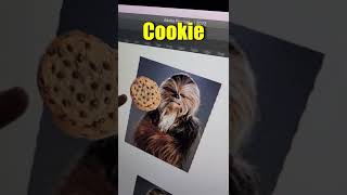 Download lagu Wookie Cookie #shorts mp3