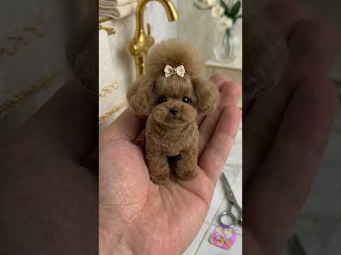 Puppy Spa Day: Get Ready for Adorable Surprises! 🐶