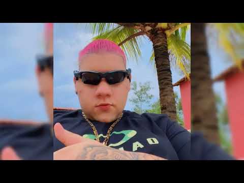 MEGA DA FOX - GORDÃO DO PC (Part. MC THEUZYN , MC MR BIM)