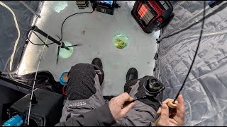 Midwinter Ice Fishing in Shallow Water (Catching & Cooking Eaters)