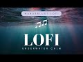 Chahat Ki Khushboo Ko Slowed Reverb