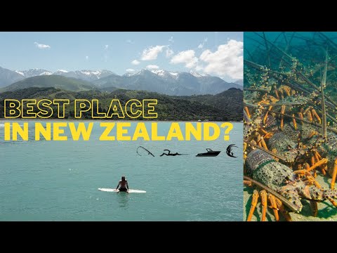 GIANT CRAYFISH, Spearfishing, Jet boating dry rapids, whitebaiting & surfing. Kaikoura New Zealand