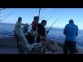 Three sailfish at the same time!