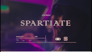 Mr.Shogo - Spartiate