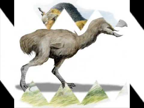 Dino Profile - Phorusrhacos Longissimus (Ep. 6)