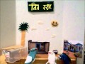Sesame Street India