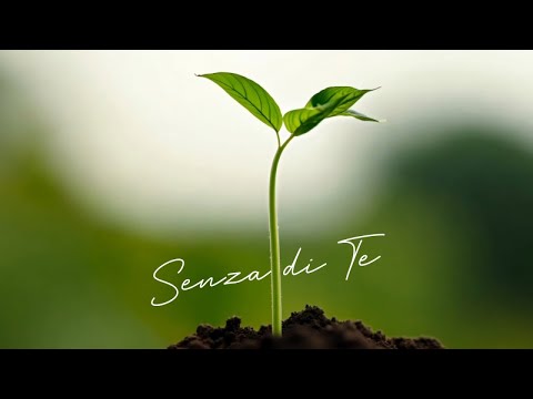 Liberi per davvero Worship Ft. Francesco Chiaradia, Marzia Vergari - Senza di Te - Official Video