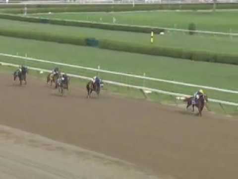 Starlight Champions - Hilda's Passion wins the Ballerina Stakes