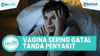 Sering Gatal di Area Vagina Bisa Jadi Masalah Serius, Kenali 5 Penyebab dan Cara Atasinya