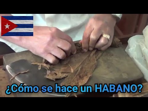 Cómo se hace un HABANO 🇨🇺 🇲🇽