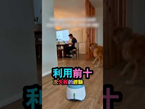 主人還不知道自己已經被瞄準了