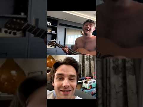 Niall & Liam Instagram Live - Part 2 (20.4.2020)