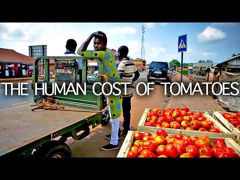 Tomato Tyranny: The Exploitation Behind Your Ketchup | Seed Documentary