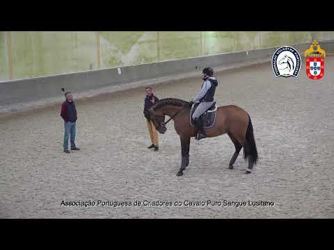 220428 3 Proj Ensino APSL&FEP - Gilberto Filipe com Nuestro da Ferraria