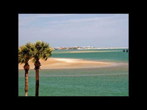 David Haun - Guitar - Augustine