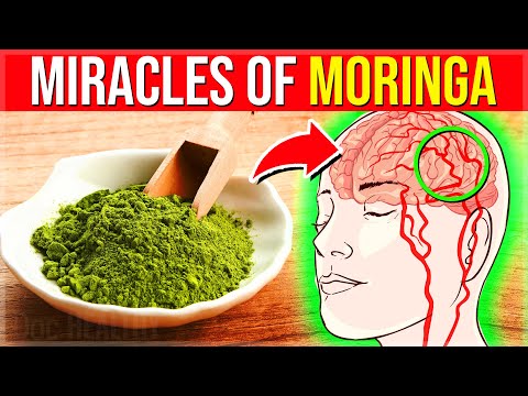 Eat Moringa Powder DAILY For 2 Weeks, See What Happens To Your Body