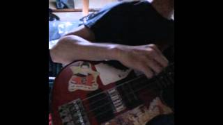 fat chance 311 bass cover poor performing