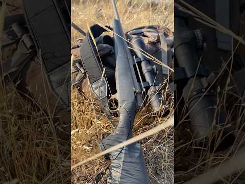 Weatherby Vanguard Bolt Action Rifle Test and Review