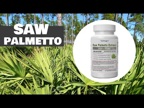 Get to Know Superior Labs Saw Palmetto