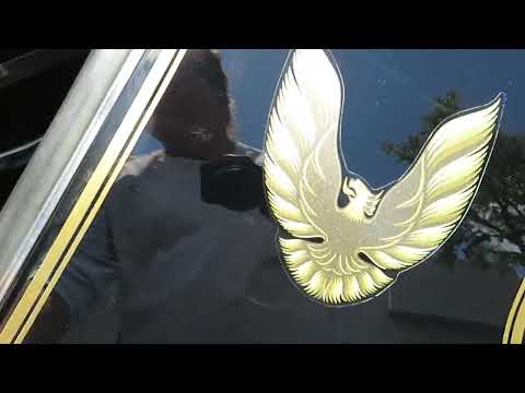1979 Pontiac Firebird Trans Am WS6 (CC-1845336) for sale in Apopka, Florida