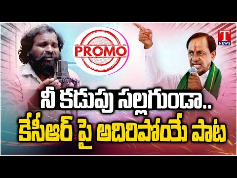 నీ కడుపు సల్లగుండా.. KCR's New Song Promo | T News