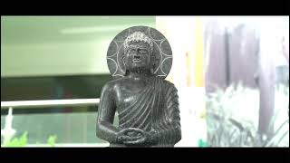 Ambitus World School Video
