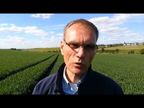 Empfehlungen zur Fahnenblattbehandlung im Weizen und zum Herbizideinsatz im Mais von Bernd Lübbe